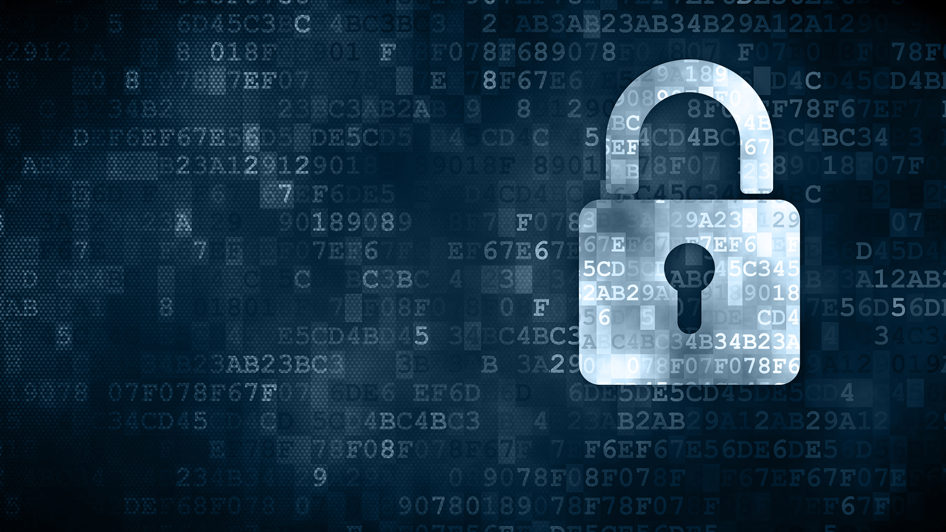 Does Your Company Management Understand Cyber Risks?