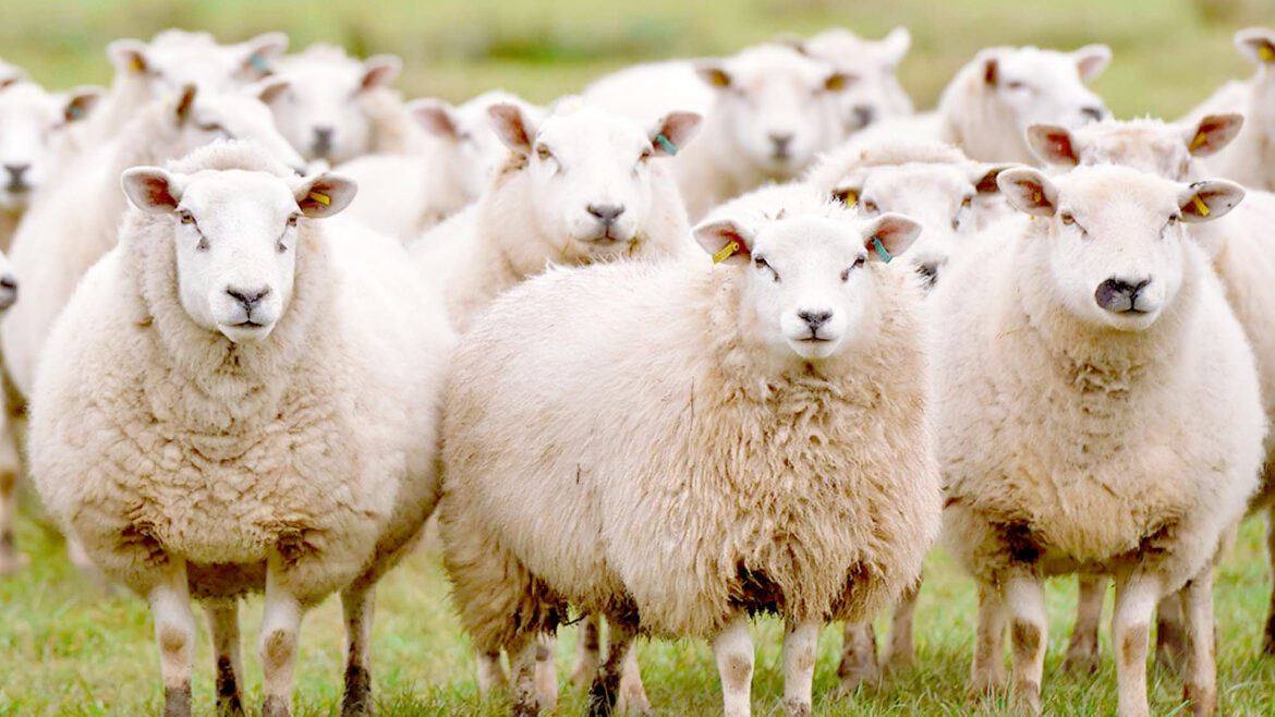 How To Avoid Exploiting Customers’ Behavioral Biases: Make Sure Your Digital Design Functions Are In The Best Interests Of Users