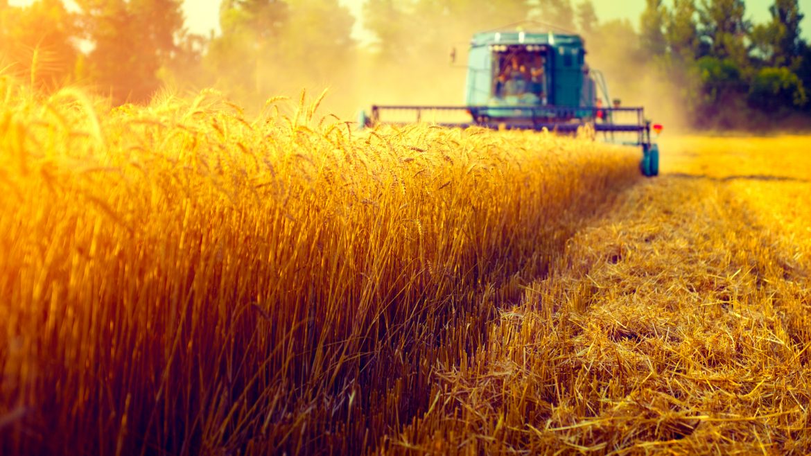 The Future Of Farming: Drones, Robots, And Super Sperm
