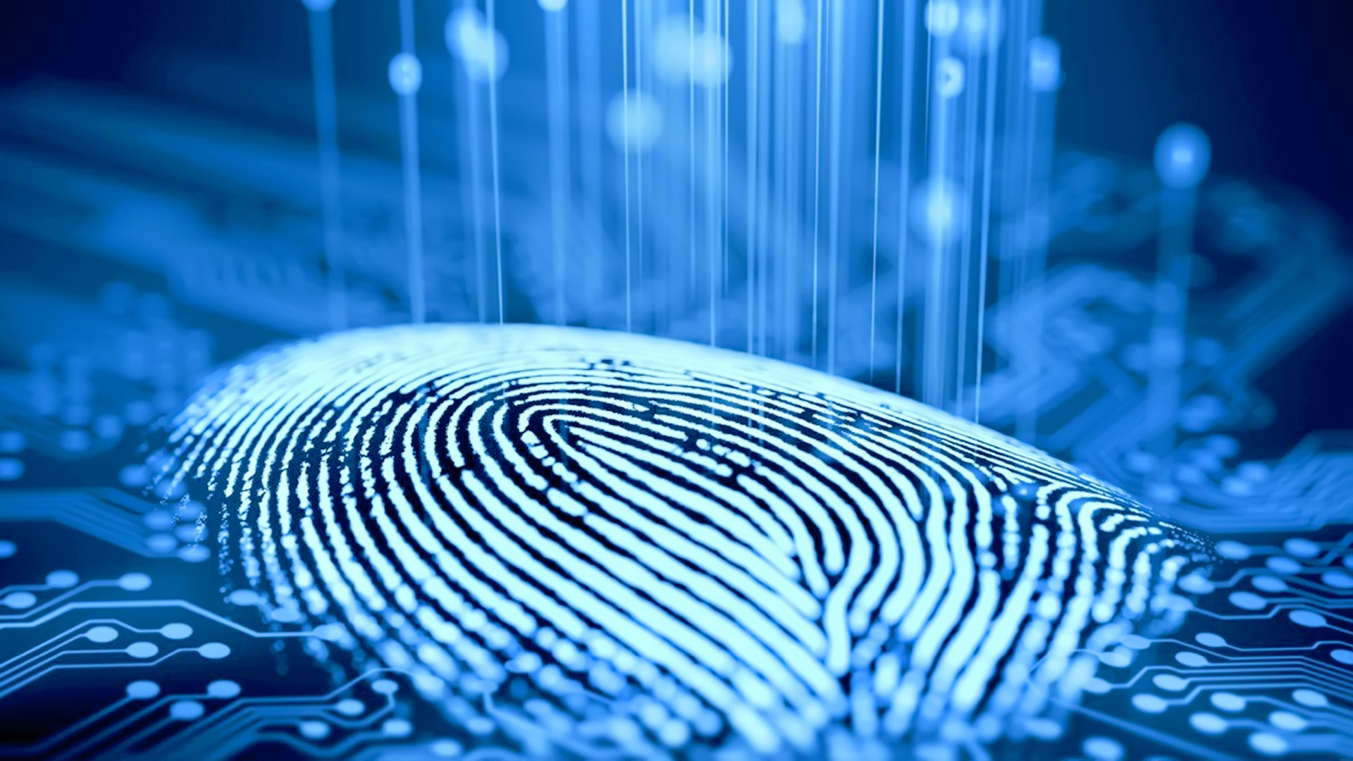 AI Based Data Monitoring, Cloud-Enabled Data Trusts, Blockchain, And Quantum Technologies Are Four Emerging Solutions For Digital Trust