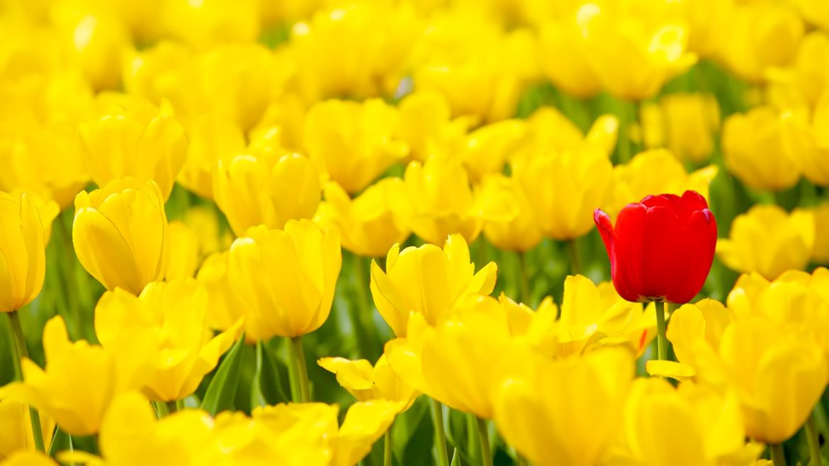 Ten Easy Ways To Brand Your Website, Blog, And Social Media Images For Faster Brand Recognition