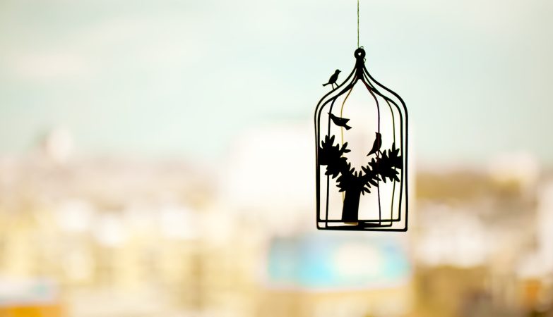 If You Feel Your Creative Potential Is Being Overlooked, It’s Time To Rebrand Yourself